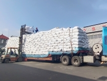 把握機(jī)遇、鉚足干勁、承勢(shì)而上